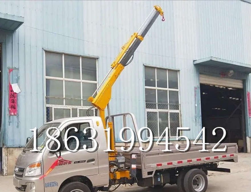 积石山保安族东乡族撒拉族自治县车载吊机装卸货物汽车液压吊臂积石山保安族东乡族撒拉族自治县附近车载吊机多少钱220v移动吊机220伏家用吊机